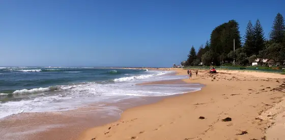 Near Swadling Reserve playground, Toowoon Bay