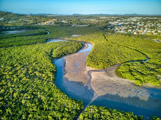 Near Merv Anderson Park playground, Yeppoon