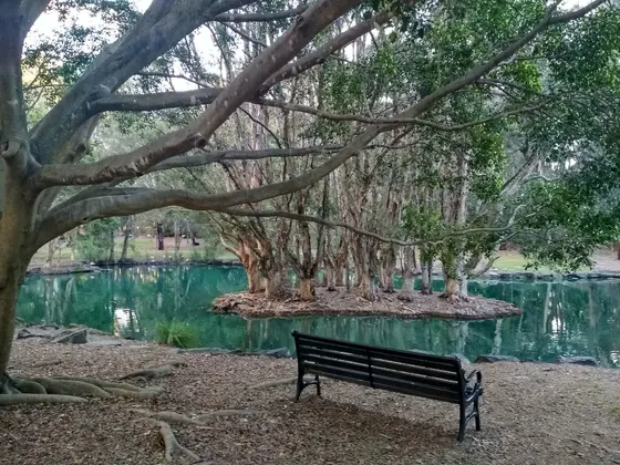 Near Auburn Botanical Gardens Playground, Auburn