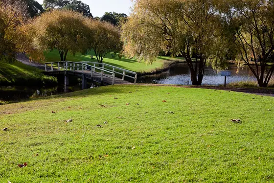 Near Fagan Park playground, Galston