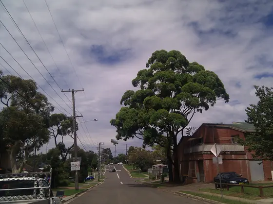 Near Old Bush Road Reserve playground, Yarrawarrah
