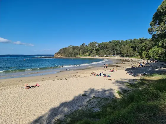 Near Boathaven Beach Reserve, Bendalong