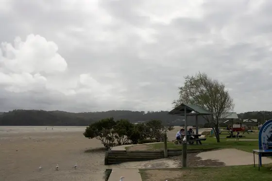 Near Quota Park, Narooma