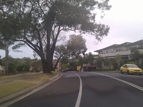Near Woronora Heights Oval, Woronora Heights