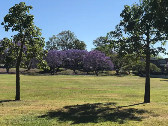 Near Gordon Thomson Park playground, Chelmer
