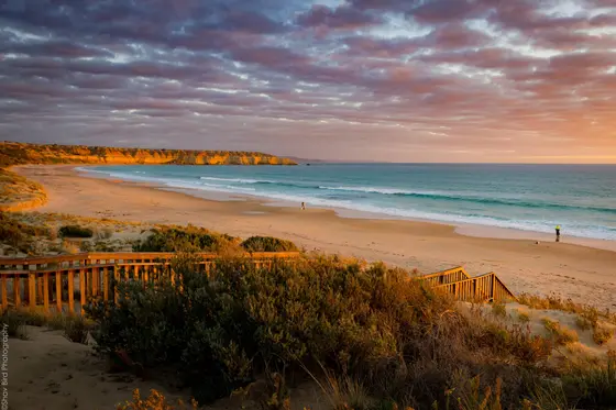 Near Frank Hilton Reserve playground, Maslin Beach