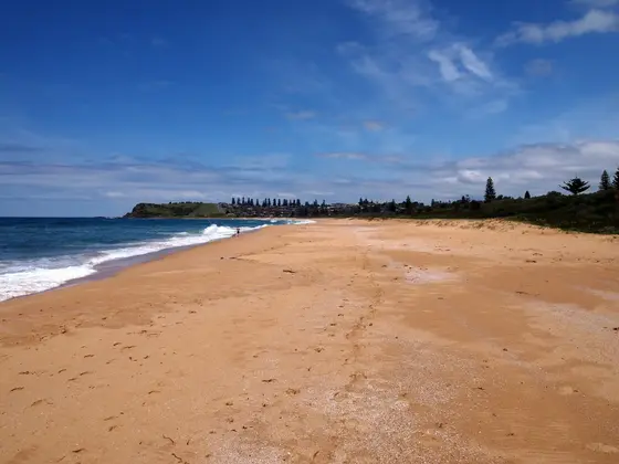 Near James Muir Miller Reserve, Werri Beach