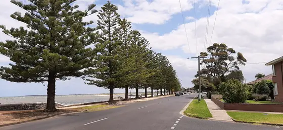 Near Ransom, G.H. Reserve, Altona