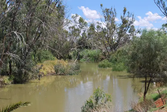 Near River Reserve playground, Hillston