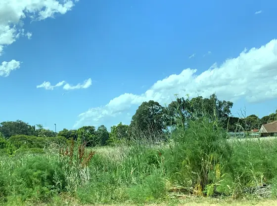 Near Blacksmith Park, Greenfield Park