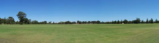 Near Yokine Play Space, Yokine
