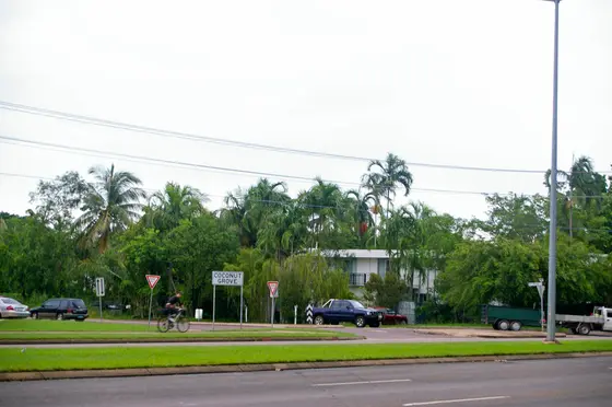 Near Old Mcmillans Park playground, Coconut Grove