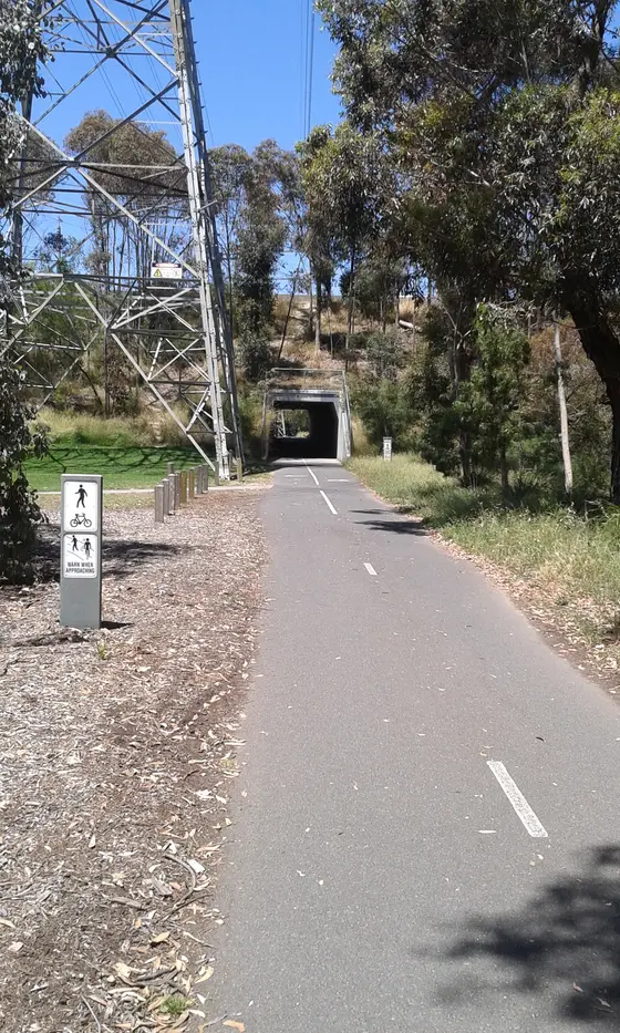 Near Lewin Reserve playground, Glen Iris