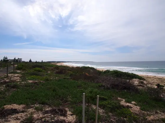 Near Terilbah Reserve playground, The Entrance North