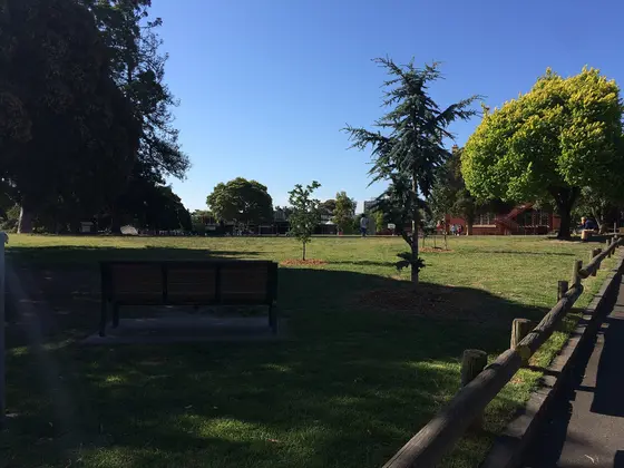 Near Brookville Gardens Playground, Toorak