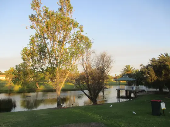 Near Don Cuthbertson Reserve playground, Cooloongup