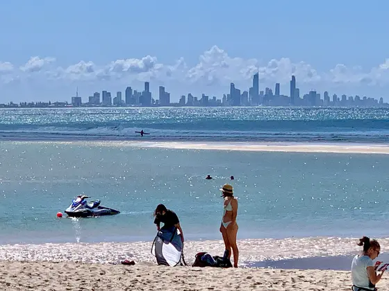 Near Wallace Nicoll Park playground, Currumbin