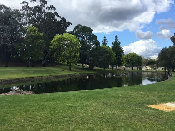 Near Bardon Park playground, Mount Lawley