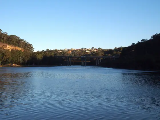 Near Cashel Reserve, Killarney Heights