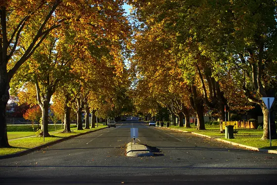 Near Fromholtz Park playground, South Albury