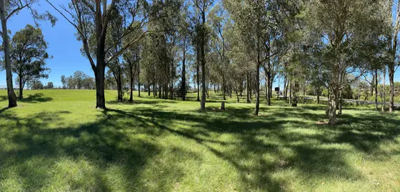 Near Pat Kontista Reserve, Leppington, Leppington