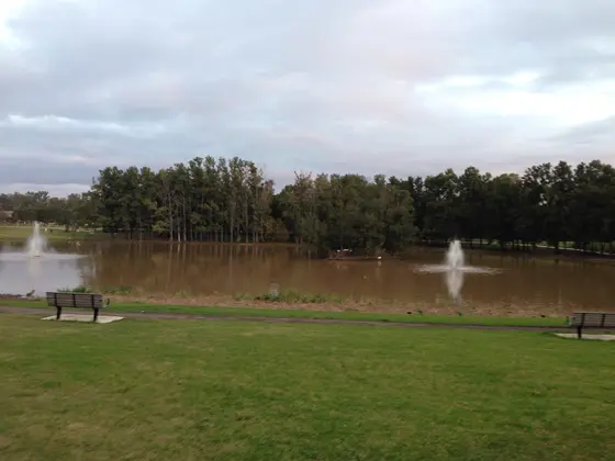 Near Werrington Creek Park, Werrington