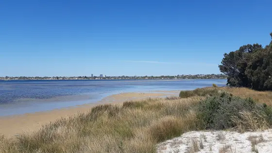 Near Troy Park playground, Attadale
