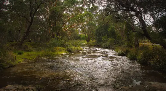 Near Goode Park playground, Moss Vale