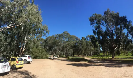 Near Carisbrooke Reserve playground, Salisbury Park