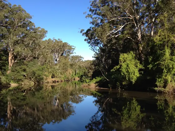 Near Fiddens Wharf Oval, Killara