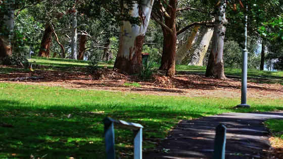 Near Gunnamatta Park playground, Cronulla