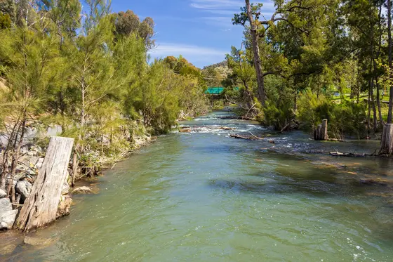 Near Coree - Cotter Road, Paddys River (Rural District)