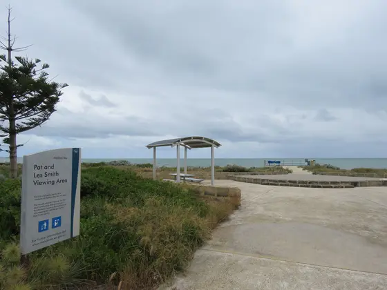 Near McLennan Park playground, Madora Bay