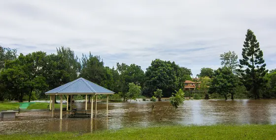 Near Balun Park playground, Newmarket