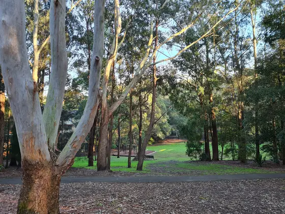 Near Goodlet Reserve, Lane Cove North