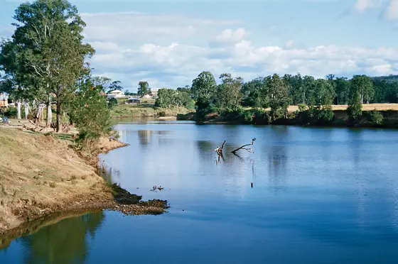 Near Macintosh Island Park playground, Main Beach