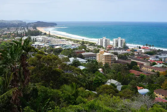 Near Collaroy Plateau Park Playground, Collaroy Plateau