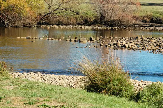 Near Bells Parade playground, Latrobe