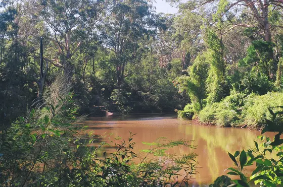 Near St Crispens Green playground, Killara