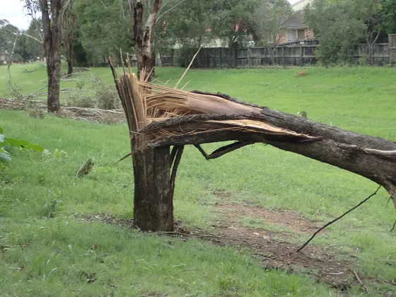 Near Reserve 586, Quakers Hill
