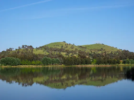 Near Mortimer Lewis Drive  , Greenway