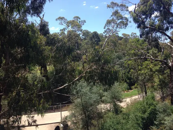 Near Partingtons Flat Playground, Greensborough