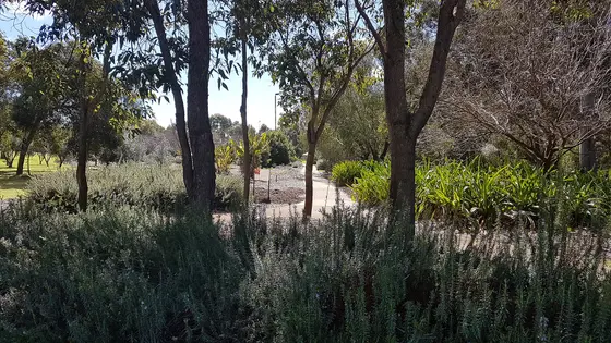 Near George Burnett Reserve playground, Karawara