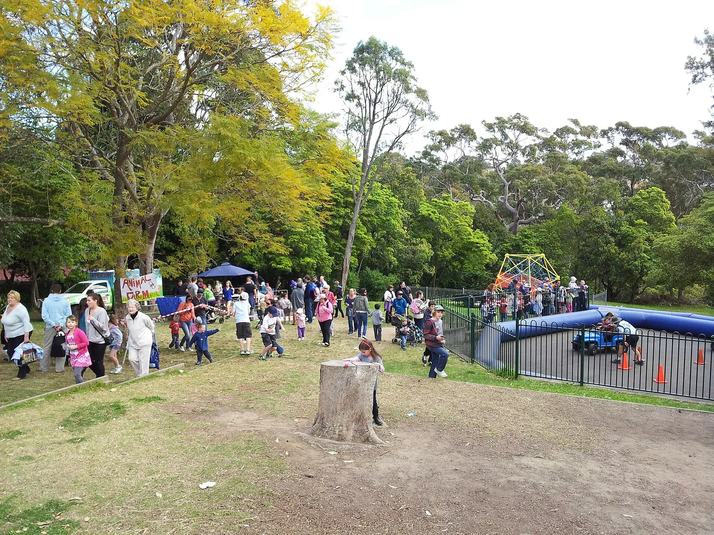 Browallia Crescent Reserve playground, Loftus
