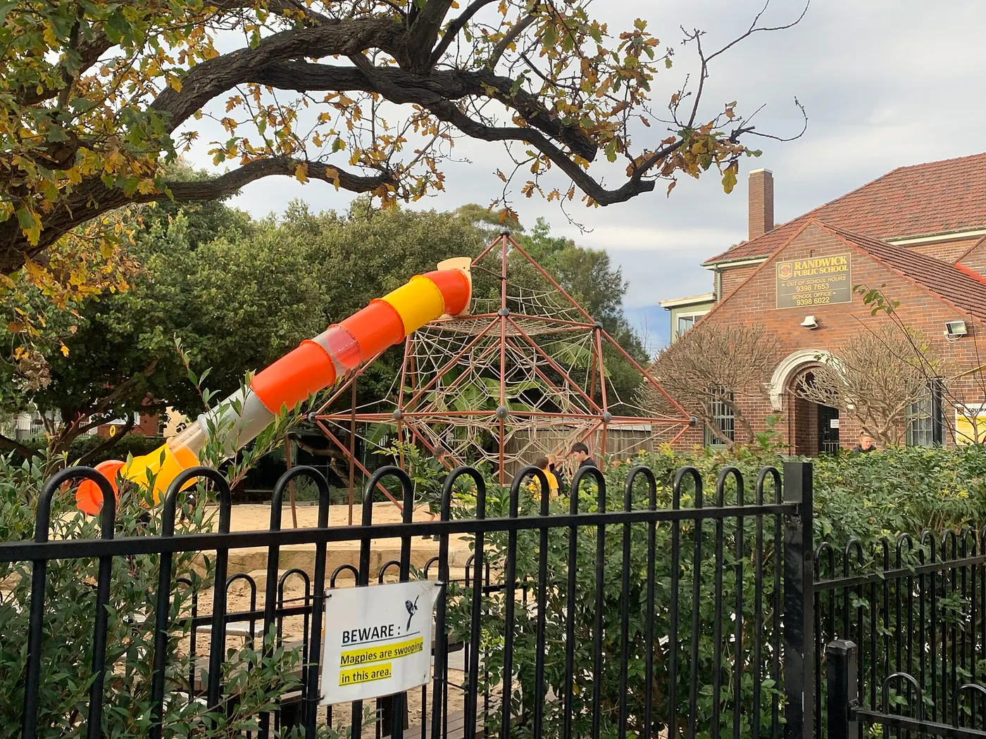 Frank Doyle Park Playground, Randwick