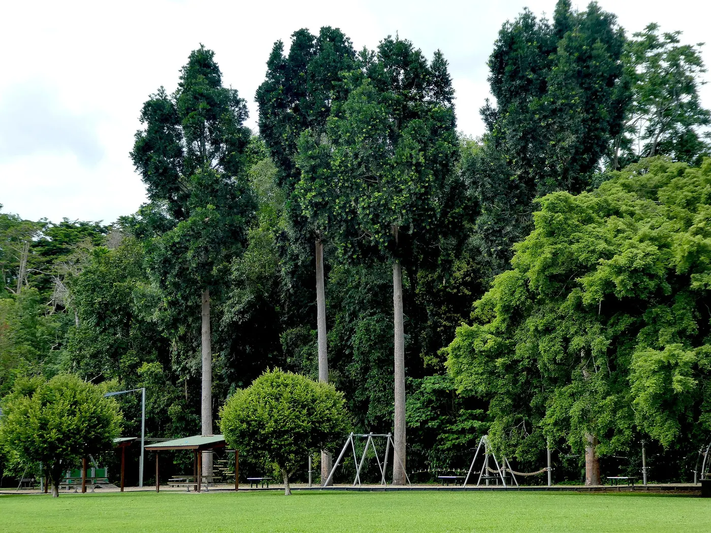 Goomboora Park playground, Brinsmead