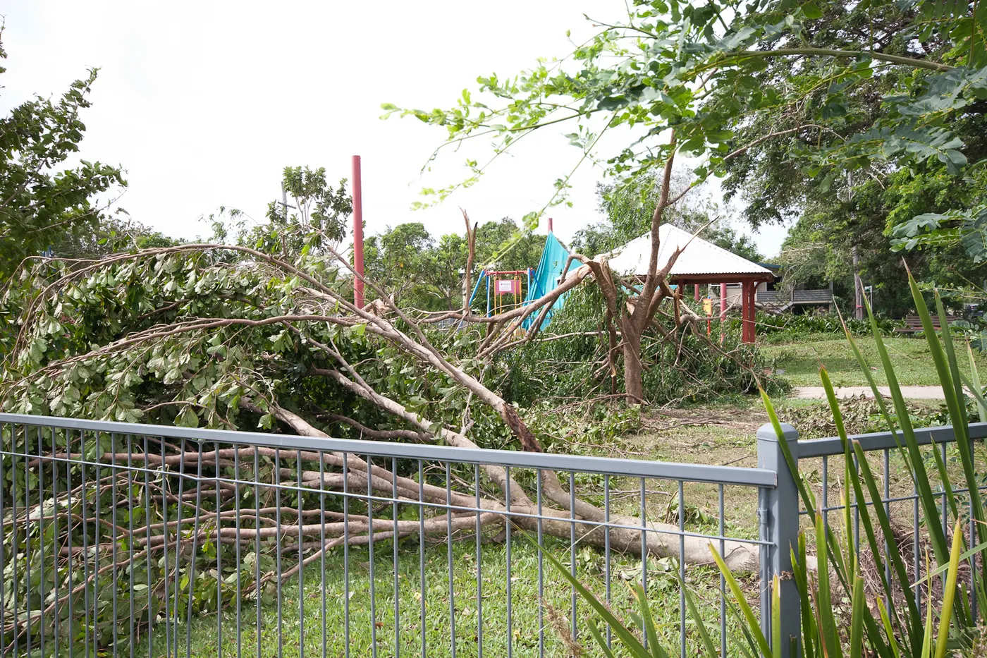 Weir Park playground, Annandale