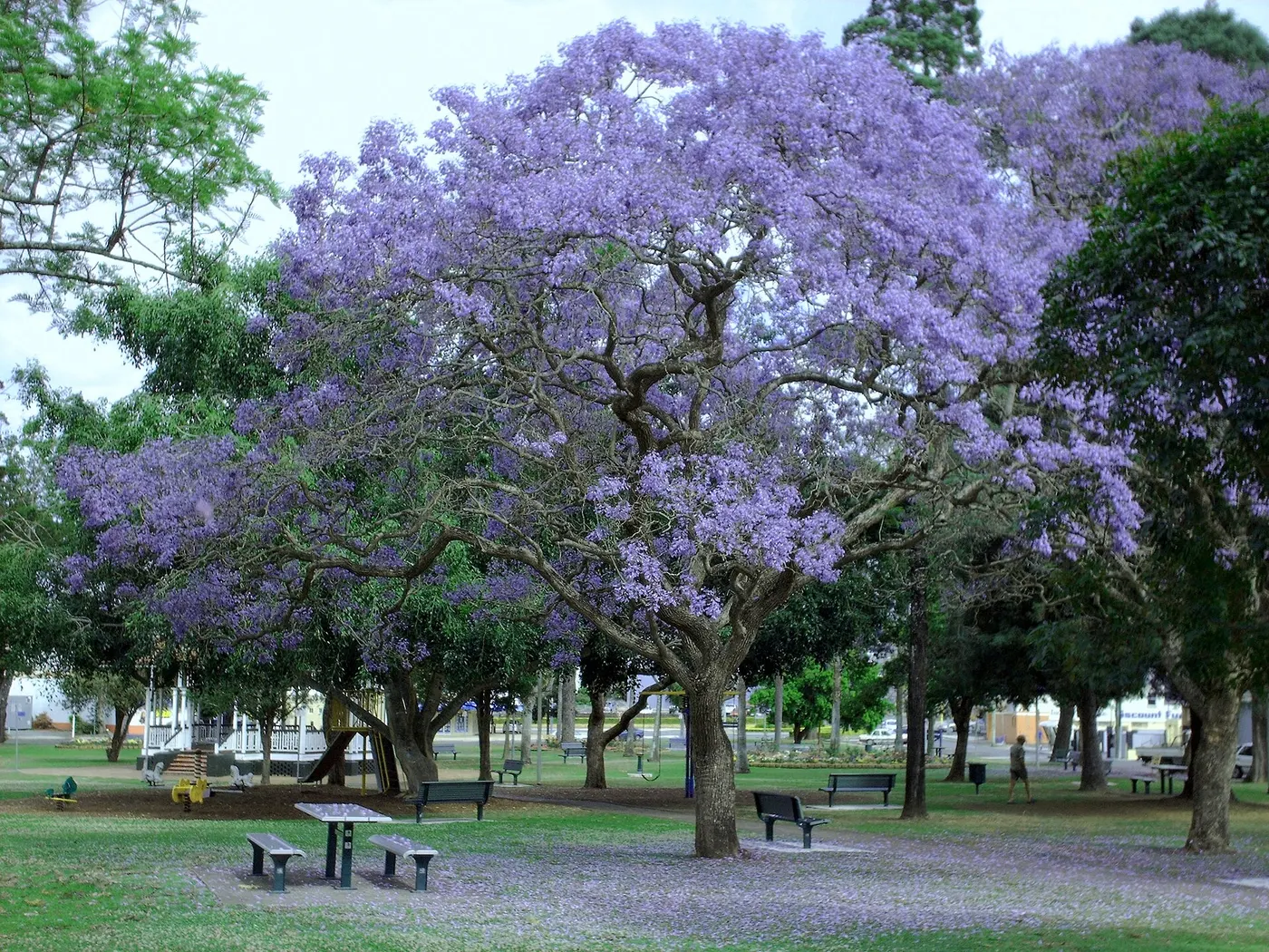 Nelson Reserve playground, Gympie