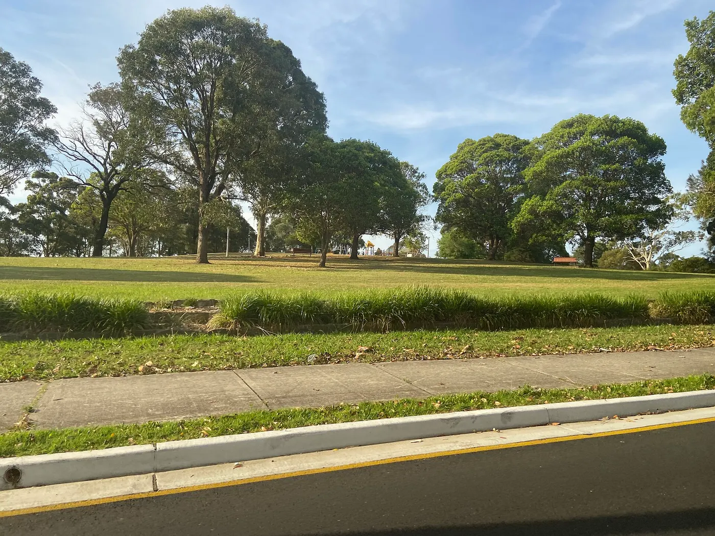 Mount Lewis Park, Mount Lewis