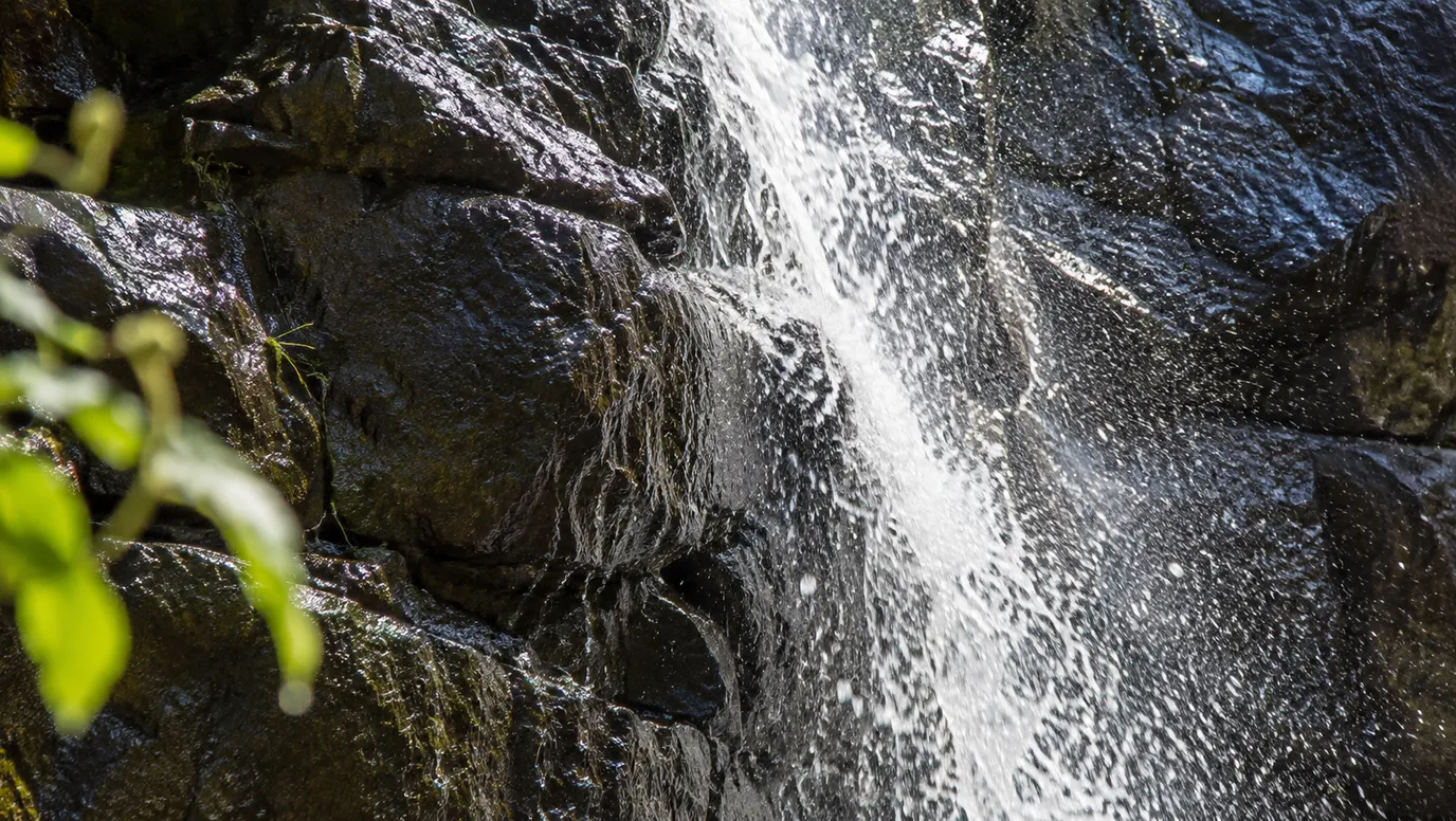 Waterfall illustration